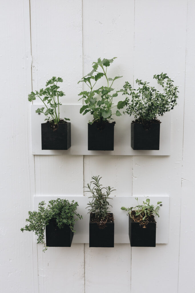 Stunning Hanging Herb Garden DIY