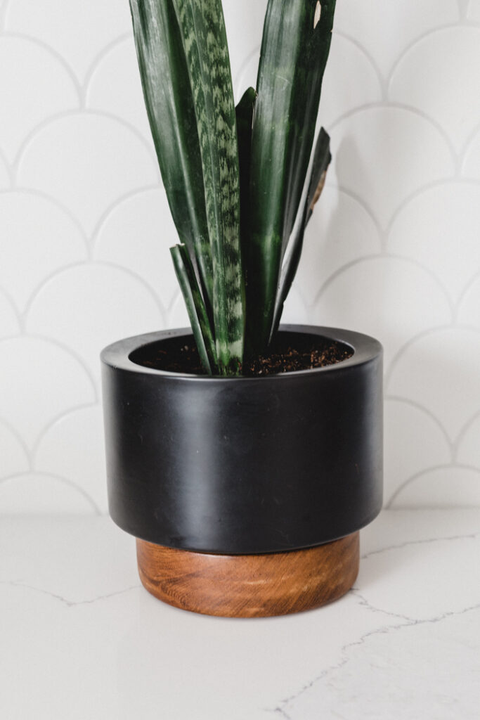 Modern DIY Planter