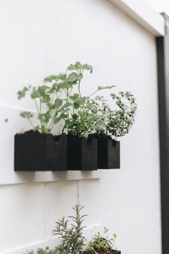 Modern Herb Planters