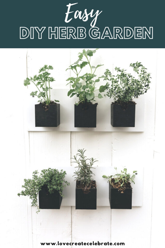 dollar store DIY herb garden