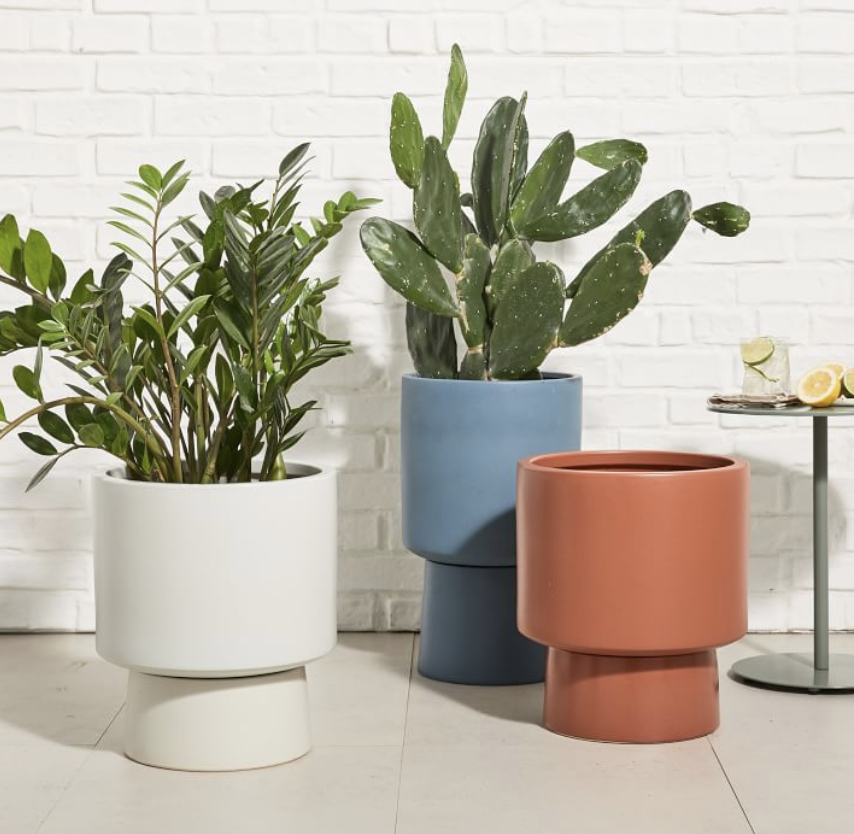 Pedestal Planters from West Elm