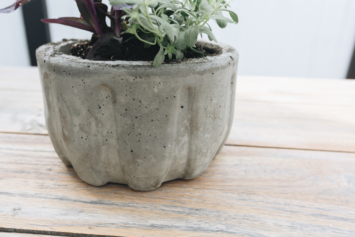 DIY concrete planter idea