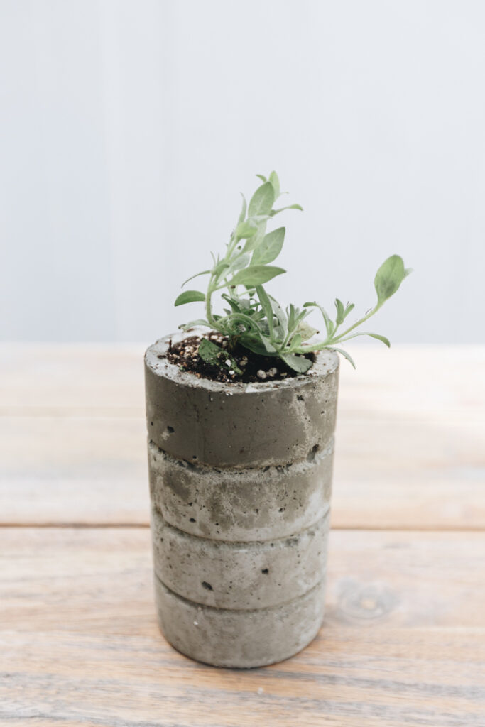 easy DIY cement planter