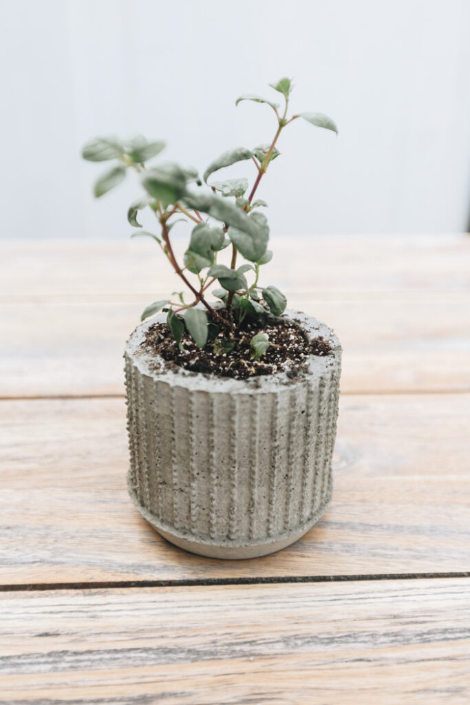 DIY cement planter ideas