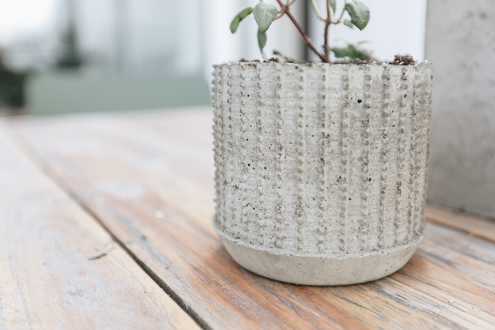 Creative DIY concrete planter idea