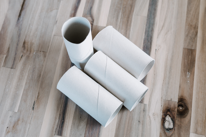 Toilet paper rolls for DIY project