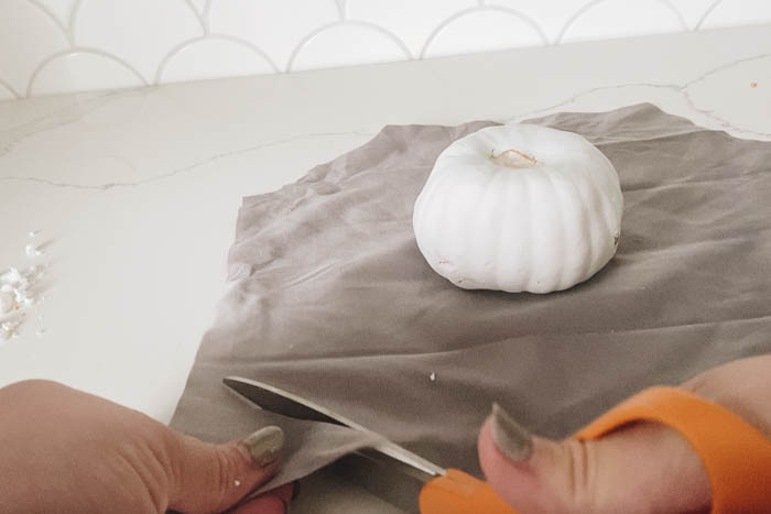 cutting velvet for pumpkins