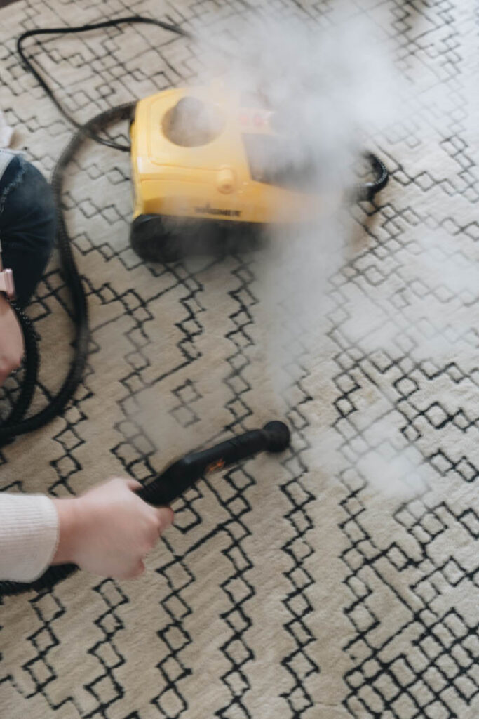 How to clean a wool carpet