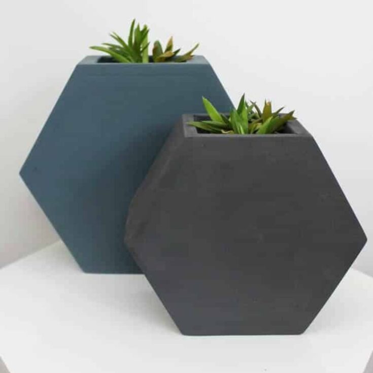 Image for Hexagon Wall Planter