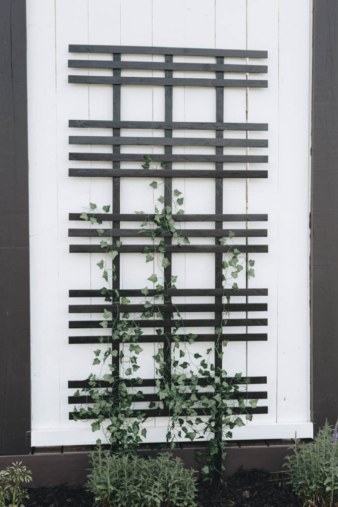 image of completed vine trellis