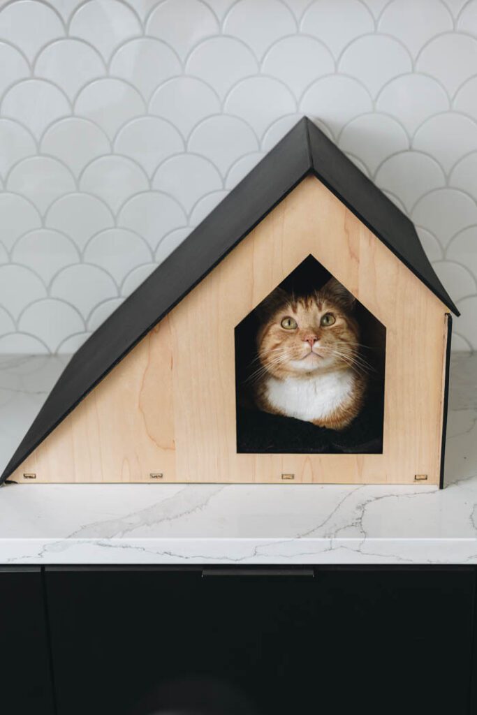 Cat house made from a Glowforge machine