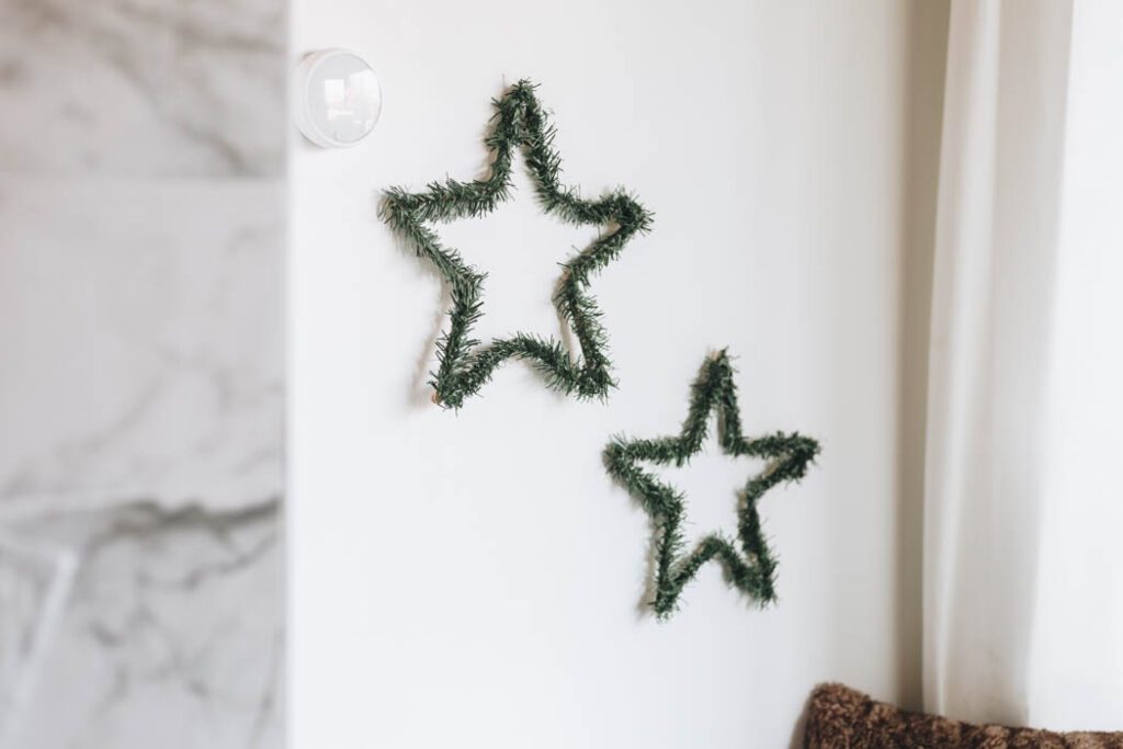 Christmas Evergreen Stars