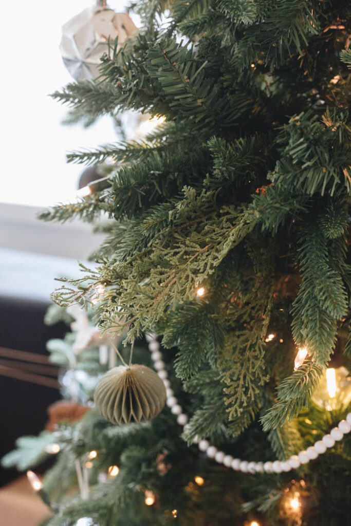 Christmas Ornaments on Tree