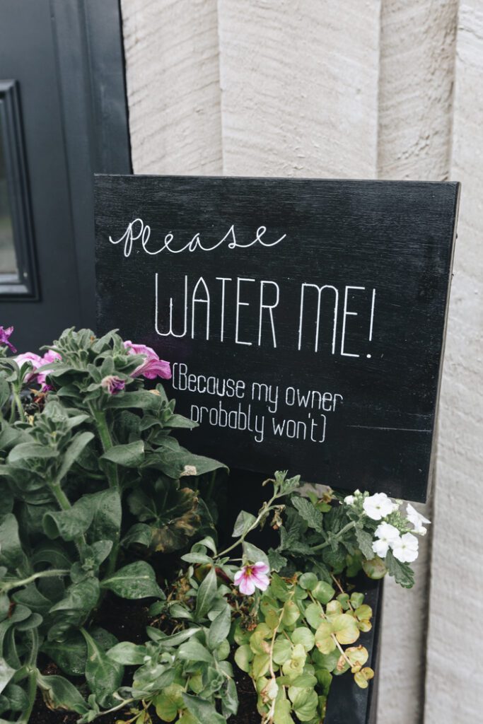 DIY Garden Sign with text "Please water me because my owner probably won't"