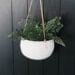 white indoor hanging flower pot