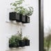 beautiful modern outdoor herb garden