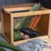 A beautiful basket to collect your garden veggies and fruit